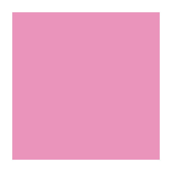 Canson Guarro Pack de 25 Cartulinas Iris de 185g - 50x65cm - Color Rosa Chicle