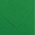 Canson Guarro Pack de 25 Cartulinas Iris de 185g - 50x65cm - Color Verde Abeto