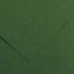 Canson Guarro Pack de 25 Cartulinas Iris de 185g - 50x65cm - Color Verde Amazonas