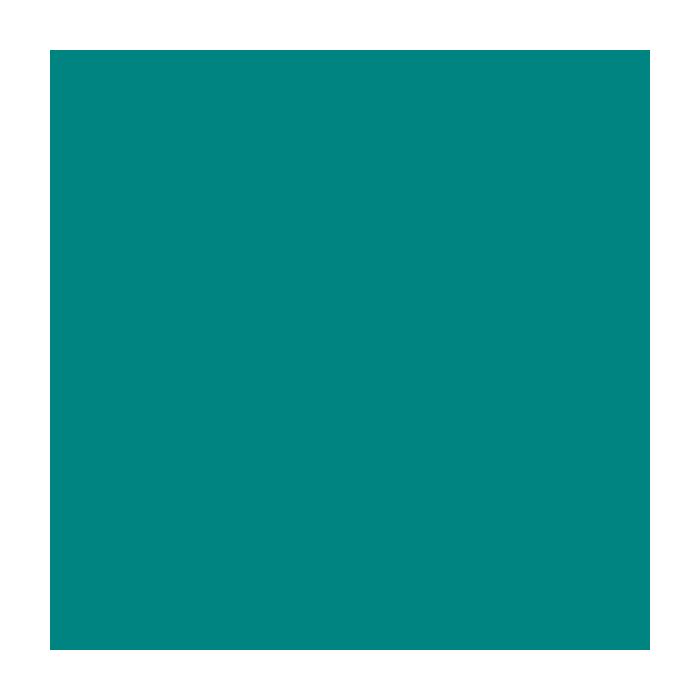 Canson Guarro Pack de 25 Cartulinas Iris de 185g - 50x65cm - Color Verde Menta