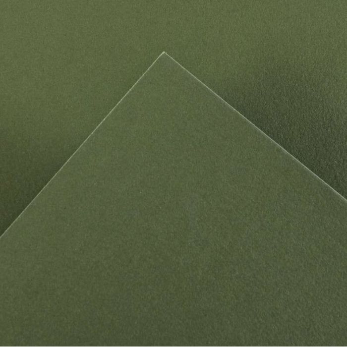 Canson Guarro Pack de 25 Cartulinas Iris de 185g - 50x65cm - Color Verde Safari