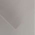 Canson Guarro Pack de 25 Cartulinas Iris de 185g - 50x65cm - Color Plata