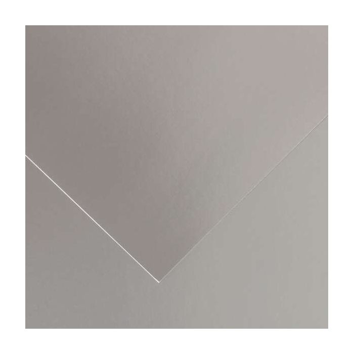 Canson Guarro Pack de 25 Cartulinas Iris de 185g - 50x65cm - Color Plata