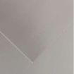Canson Guarro Pack de 25 Cartulinas Iris de 185g - 50x65cm - Color Plata