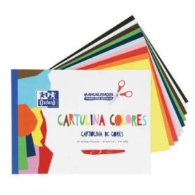 Oxford Bloc Encolado de 10 Cartulinas de Colores Formato A4+ 170gr - Colores Surtidos