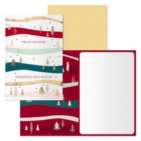 Dohe Grove Pack de 6 Tarjetas de Felicitacion Navideña con Sobre - Tamaño Cerrada 11.5x17cm, Abierta 23x17cm - Papel Offset - Impresas a todo Color
