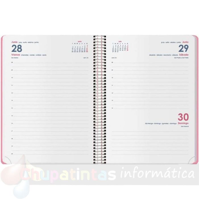 Dohe Menphis Agenda Anual - Día Página - Cubierta de Plástico - Cierre con Goma Elástica - Tamaño 15x21cm - Rosa-2