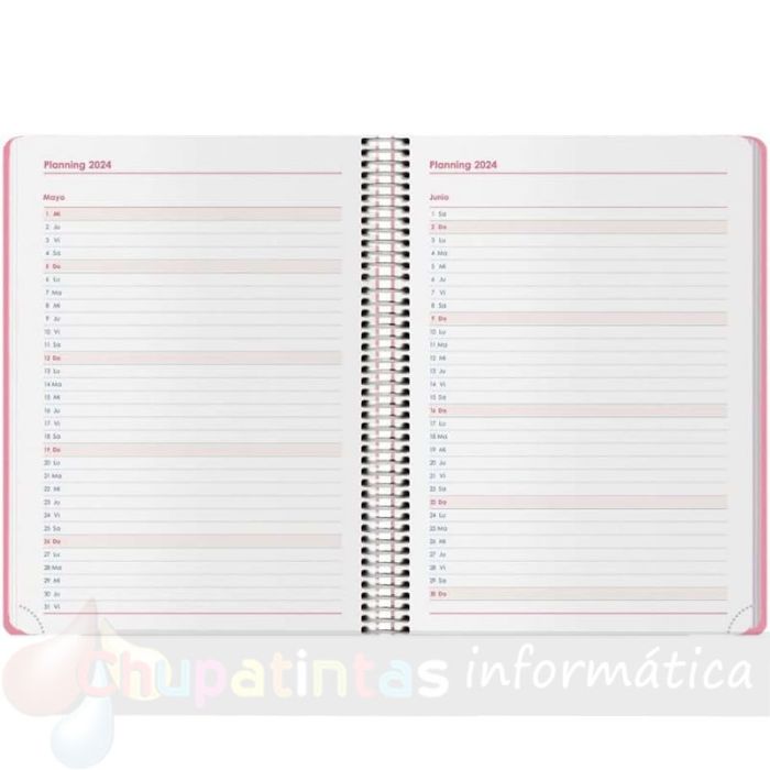 Dohe Menphis Agenda Anual - Día Página - Cubierta de Plástico - Cierre con Goma Elástica - Tamaño 15x21cm - Rosa-3