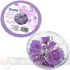 Dohe Combo Ovni Pack de Accesorios de Escritorio - Pinzas de 15mm, Clips y Push Pins - Color Morado