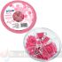 Dohe Combo Ovni Pack de Accesorios de Escritorio - Pinzas de 15mm, Clips y Push Pins - Color Rosa
