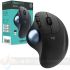 Logitech Ergo M575 Ratón Inalámbrico TrackBall USB 2000dpi - 5 Botones - Uso Diestro - Color Grafito - especificaciones