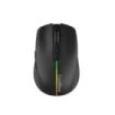 Coolbox W01 Raton Gaming Inalambrico 1600dpi - 6 Botones - Iluminacion RGB - Color Negro