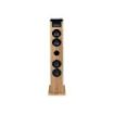 Thomson Cosy DS122CD Torre de Sonido 60W Bluetooth 5.0 - Reproductor de CD - Entrada AUX 3,5mm, USB y Lector de Tarjetas SD/MMC - Mando a Distancia - Color Madera/Negro