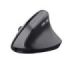 Trust Raton Inalambrico USB - Tecnologia Silent Click - 6 Botones - Recargable por USB-C - Color Negro
