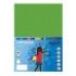 Fabrisa Pack de 50 Cartulinas 180 g/m² - Tamaño A4 - Color Verde Fuerte