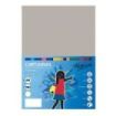 Fabrisa Pack de 50 Cartulinas 180 g/m² - Tamaño A4 - Color Gris