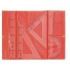 Safta Pack de 5 Reglas de Dibujo - Estuche Plastico con Broche - 10 Unidades - 32x17.5cm - Color Rojo y Azul