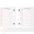 Dohe Bloque Bufete Anual - 2 Perforaciones - Calendario Contribuyente - Planning Mensual - 640 Páginas-5