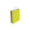 Bismark Bolsa de Papel Celulosa - Medidas 32x10x24cm - Color Pistacho