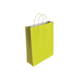 Bismark Bolsa de Papel Celulosa - Medidas 37x12x27cm - Color Pistacho