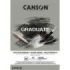 Canson Graduate Mix Media Bloc Encolado de 30 Hojas A3 - 220g - Grano Fino - Color Gris