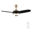 Cecotec EnergySilence Aero 4265 GoldBlack Ventilador de Techo con 3 Aspas y Luz Integrada - 65W - Diametro de 42" - LED de 18W - Mando a Distancia - Temporizador - 3 Velocidades - Color Dorado y Negro