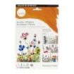 Daler Rowney Simply Activity Pack de 25 Piezas - Pintura Acrilica - Tematica Flores - Colores Surtidos