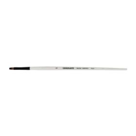 Daler Rowney Graduate Pincel Multitecnica - Pelo Sintetico - Mango Largo - Bright Nº6