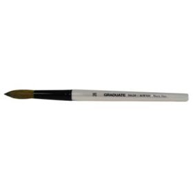 Daler Rowney Graduate Pincel Acuarela - Mezcla de Pelo de Pony y Sintetico - Mango Corto - Redondo Lavis Nº26