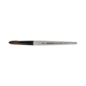 Daler Rowney Graduate Pincel Acuarela - Mezcla de Pelo de Pony y Sintetico - Mango Corto - Redondo Lavis Nº30