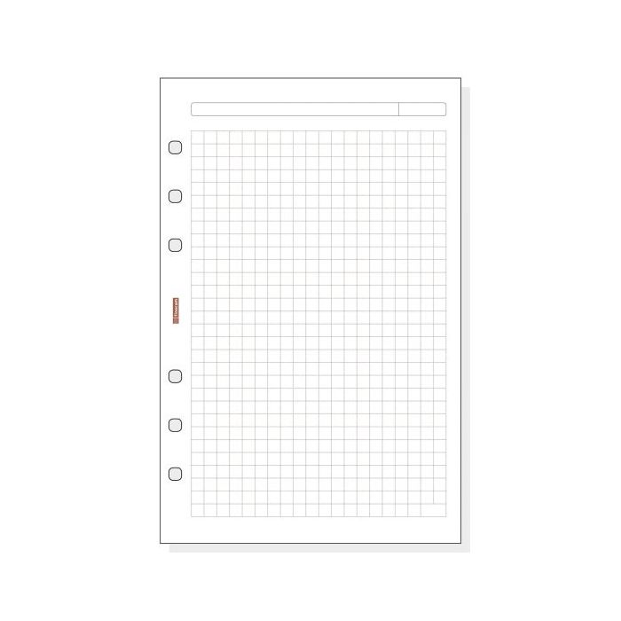 Finocam R540 Recambio para Agendas Open - Cuadriculado - Formato 500 - 117x5x181mm - Color Blanco