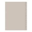 Finocam R4064 Indice Alfabetico para Agendas Open - 13 Solapas - Formato A4 - 220x2x297mm - PVC - Color Beige Grisaceo