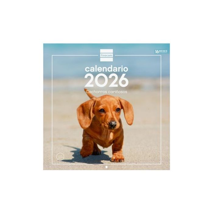Finocam Calendario de Pared - Anual 2026 - Imagenes Variadas - 300x300mm - Espacio para Escribir - Tematica de Cachorros