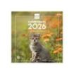 Finocam Calendario de Pared - Anual 2026 - Imagenes Variadas - 300x300mm - Espacio para Escribir - Tematica de Gatos