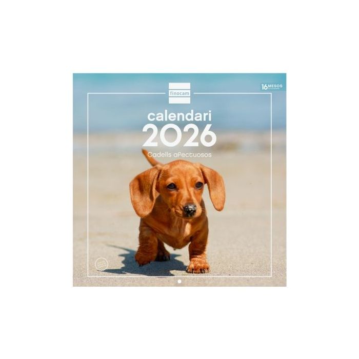 Finocam Calendario de Pared en Catalan - Anual 2026 - Imagenes Variadas - 300x300mm - Espacio para Escribir - Tematica de Cachorros