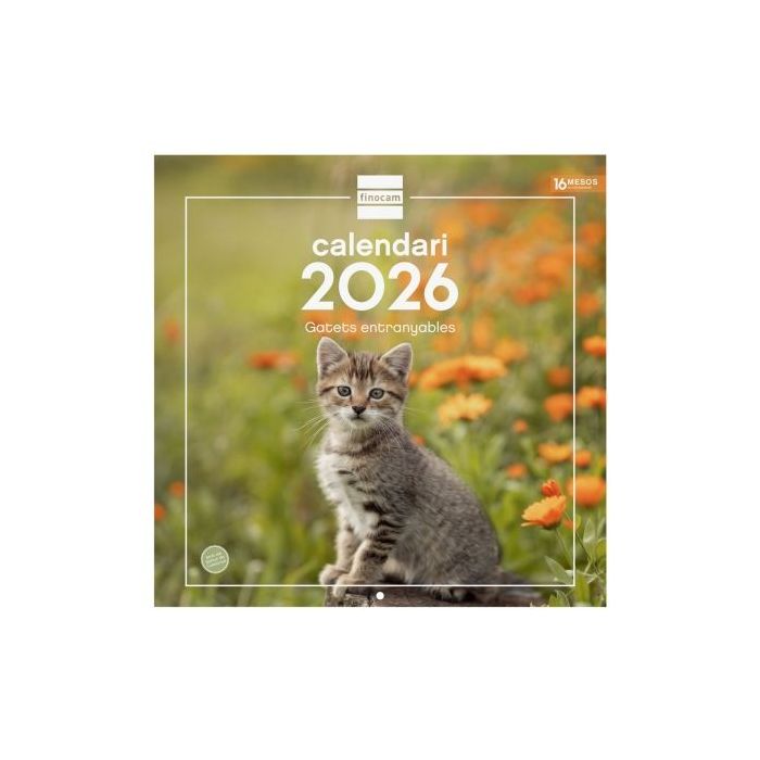 Finocam Calendario de Pared en Catalan - Anual 2026 - Imagenes Variadas - 300x300mm - Espacio para Escribir - Tematica de Gatos