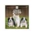 Finocam Calendario de Pared en Catalan - Anual 2026 - Imagenes Variadas - 300x300mm - Espacio para Escribir - Tematica de Perros y Gatos