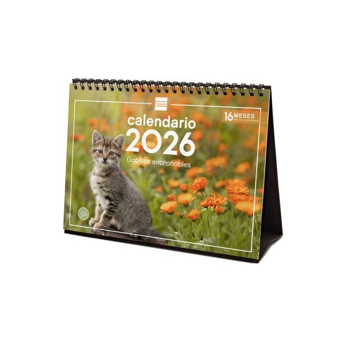 Finocam Calendario de Sobremesa - Anual 2026 - Imagenes Variadas - Espacio para Escribir - Tematica de Gatos