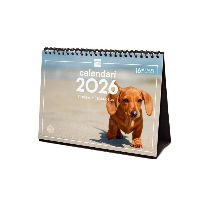 Finocam Calendario de Sobremesa en Catalan - Anual 2026 - Imagenes Variadas - Espacio para Escribir - Tematica de Cachorros