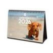 Finocam Calendario de Sobremesa en Catalan - Anual 2026 - Imagenes Variadas - Espacio para Escribir - Tematica de Cachorros