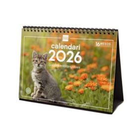 Finocam Calendario de Sobremesa en Catalan - Anual 2026 - Imagenes Variadas - Espacio para Escribir - Tematica de Gatos