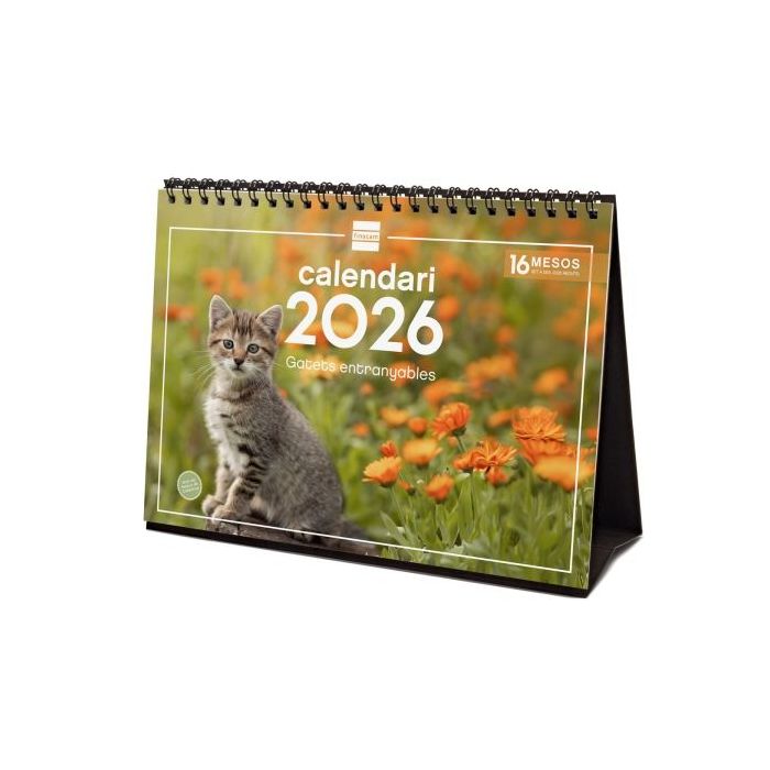 Finocam Calendario de Sobremesa en Catalan - Anual 2026 - Imagenes Variadas - Espacio para Escribir - Tematica de Gatos