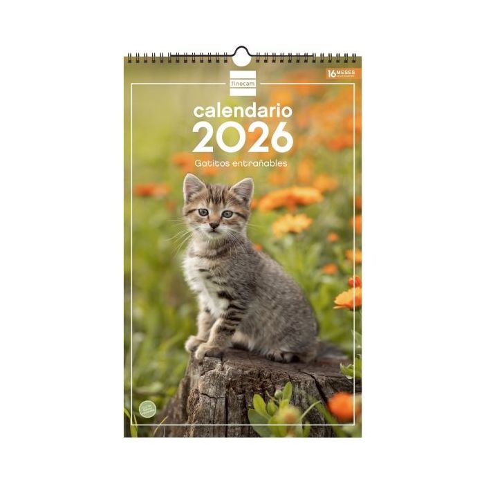 Finocam Calendario de Pared - Anual 2026 - Imagenes Variadas - con Espiral - Espacio para Escribir - Tematica de Gatos