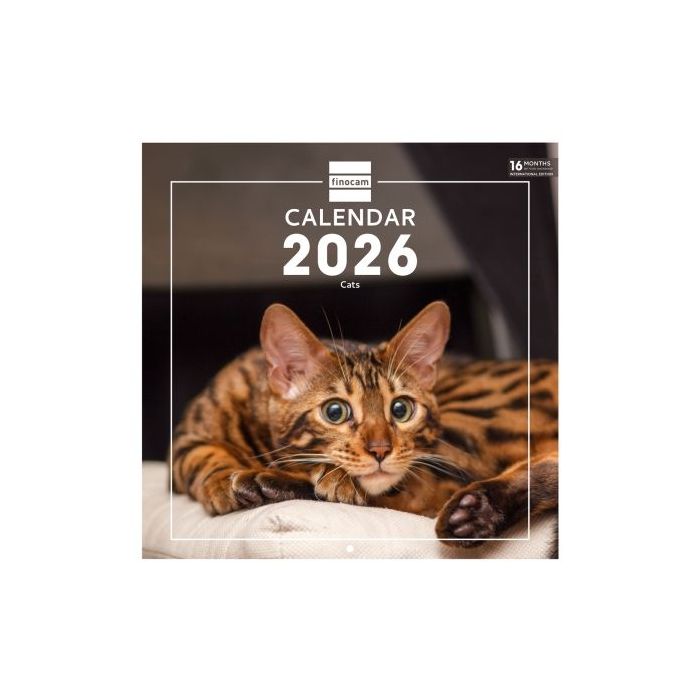 Finocam Calendario de Pared Internacional - Anual 2026 - Imagenes Variadas - 311x5x305mm - Tematica de Gatos