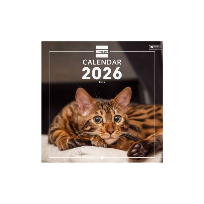 Finocam Calendario de Pared Internacional - Anual 2026 - Imagenes Variadas - 191x5x185mm - Tematica de Gatos