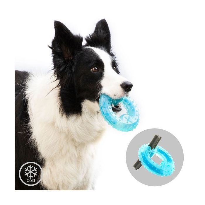 Innovagoods Glubiz Juguete Mordedor Congelable para Mascotas 2 en 1 - Caucho Termoplastico - Resistente y Duradero - Efecto Frio - Facil Limpieza - 12x3.5cm - Color Azul
